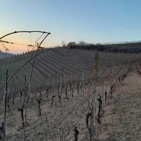 Da Nonna Carla 3* Альфьяно-Натта