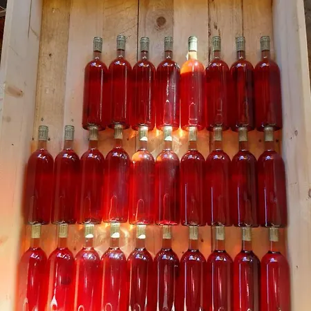 Da Nonna Carla Alfiano Natta